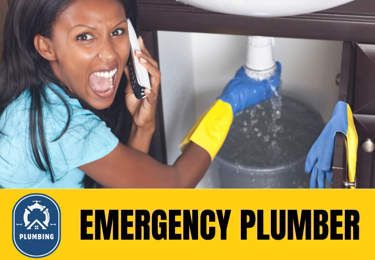 emergency plumber Tunbridge Wells
