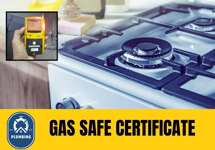 gas safe certificate Tunbridge Wells