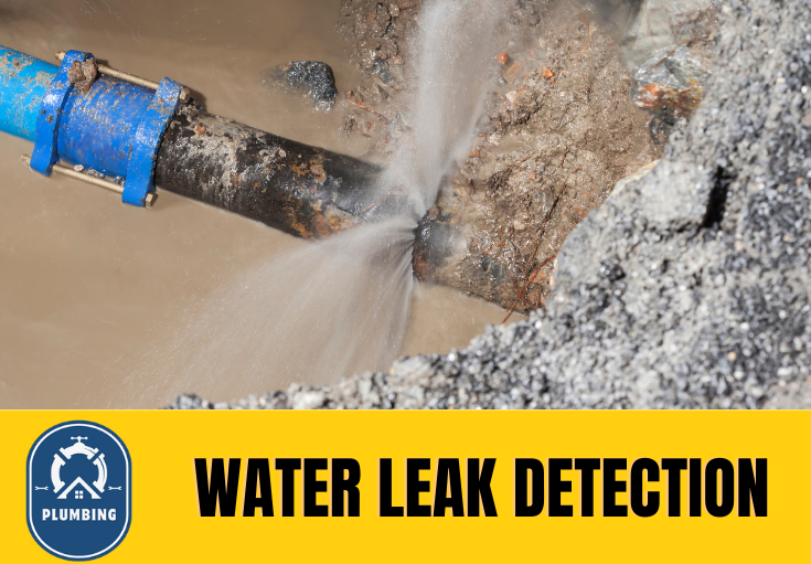 leak detection Tunbridge Wells