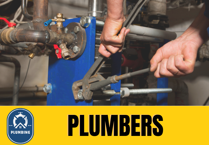  plumber Pembury