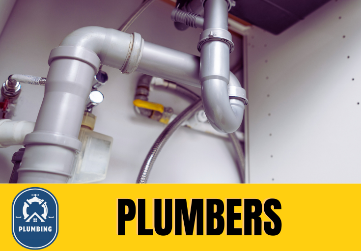  plumber Langton Green